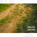 Tło fotograficzne Las 3611
